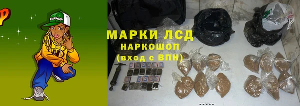 spice Бородино