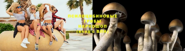 spice Бородино