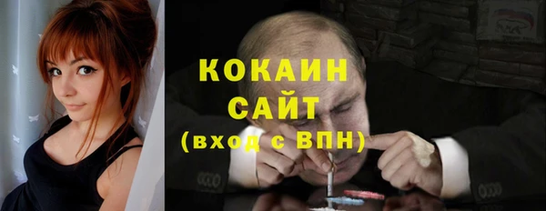 spice Бородино