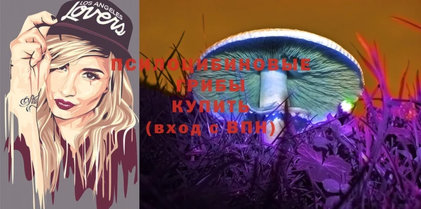трава Бугульма
