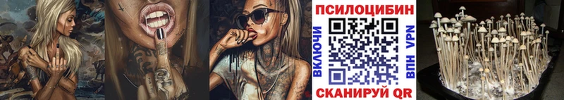 Псилоцибиновые грибы MAGIC MUSHROOMS Кимры